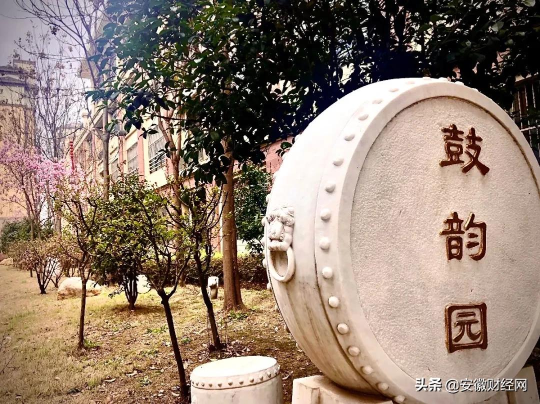 花都开好了现场完整版,花都开好了合唱合拍