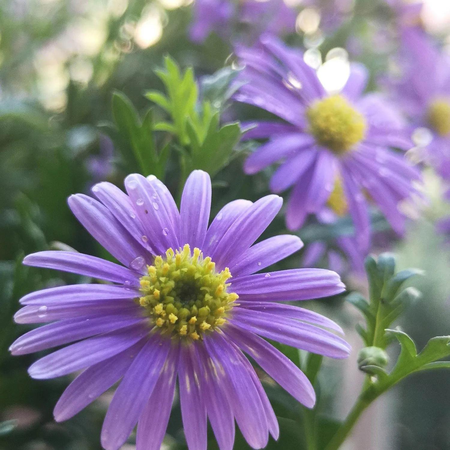 老年大妈相亲奇遇记,六十岁大妈相亲情感故事