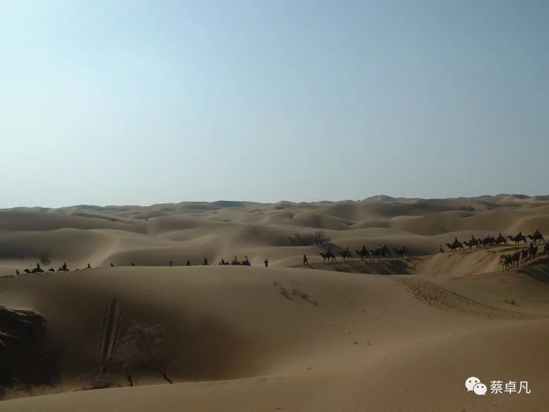 远去的背影原唱,那些远去的背影作文