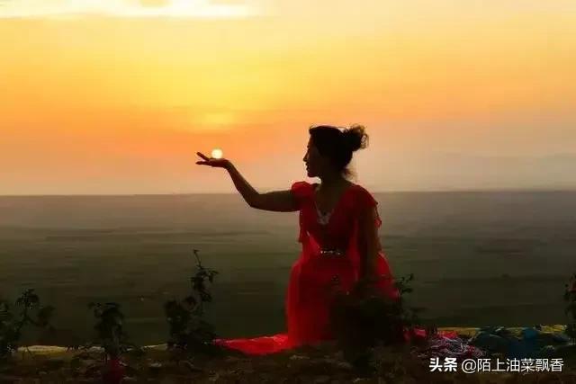 晚秋的浪漫、最后的舞蹈——落叶