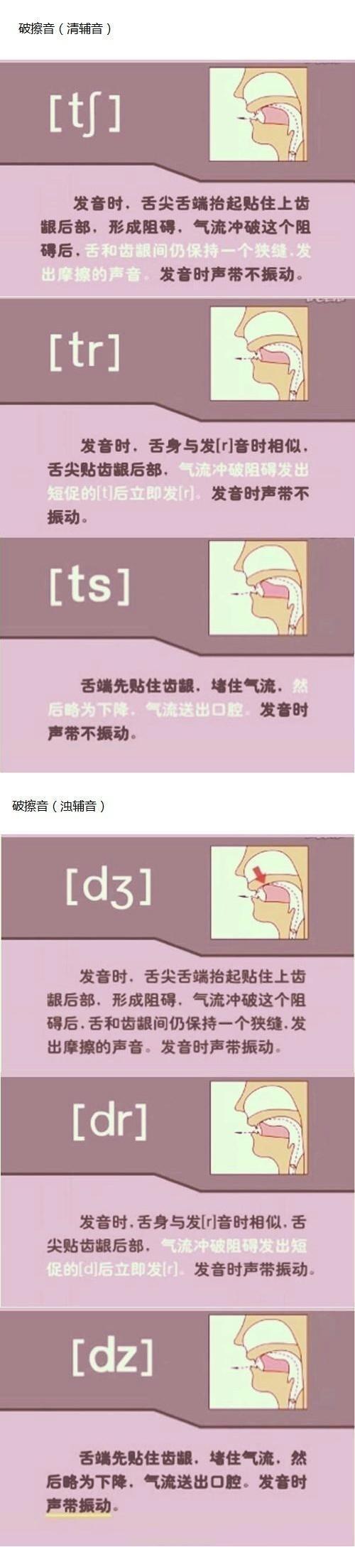 英语音标n的发音,英语音标发音图解读