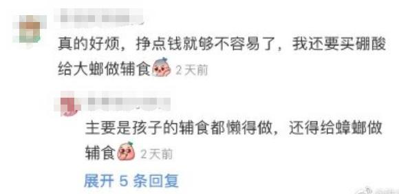 南方蟑螂和北方蟑螂对比恶搞,南方大蟑螂吓哭北方人