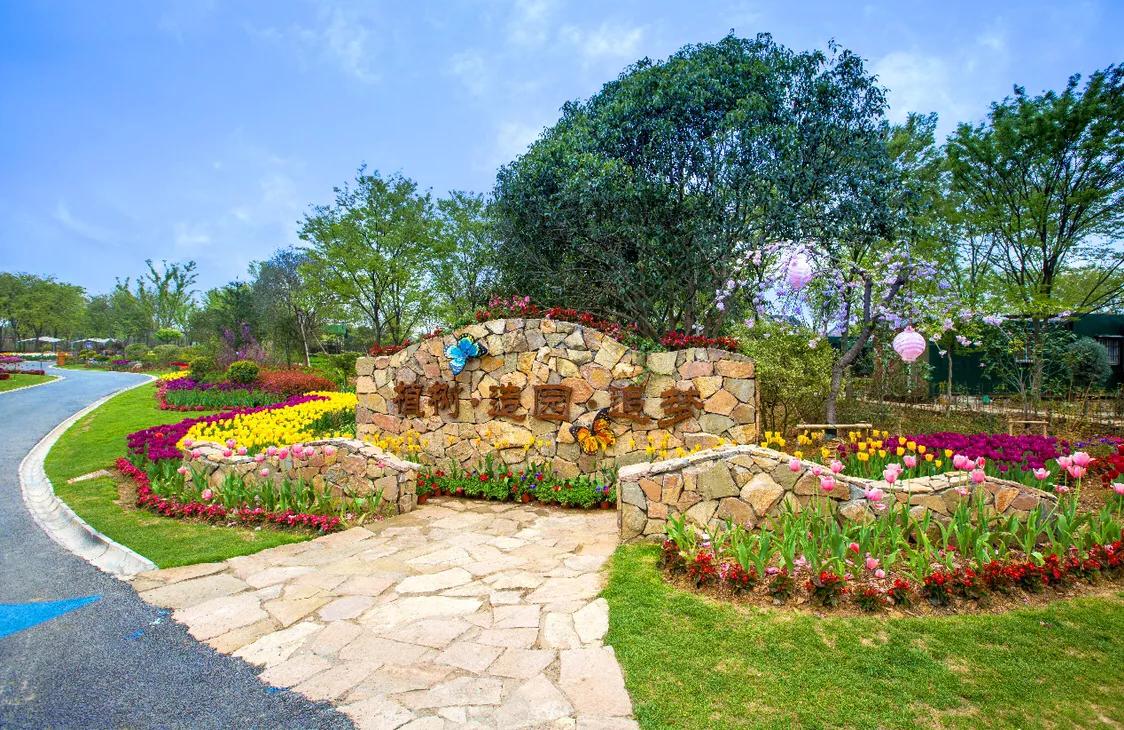 不用去维多利亚!南京溧水惊现布查特花园,文艺值爆表!