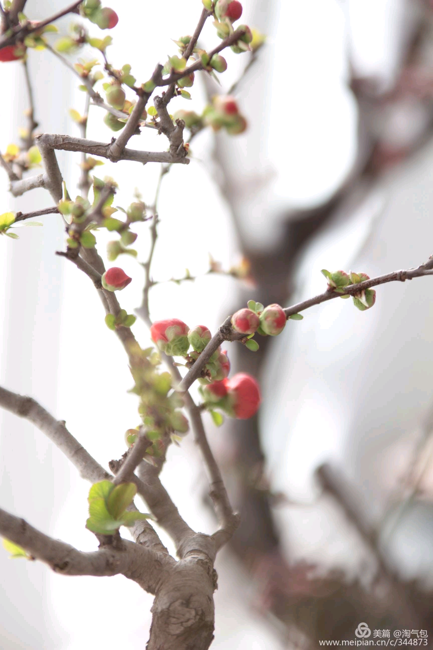 高情商的人如何解决心理难题,放下烦恼和焦虑让心回归平和