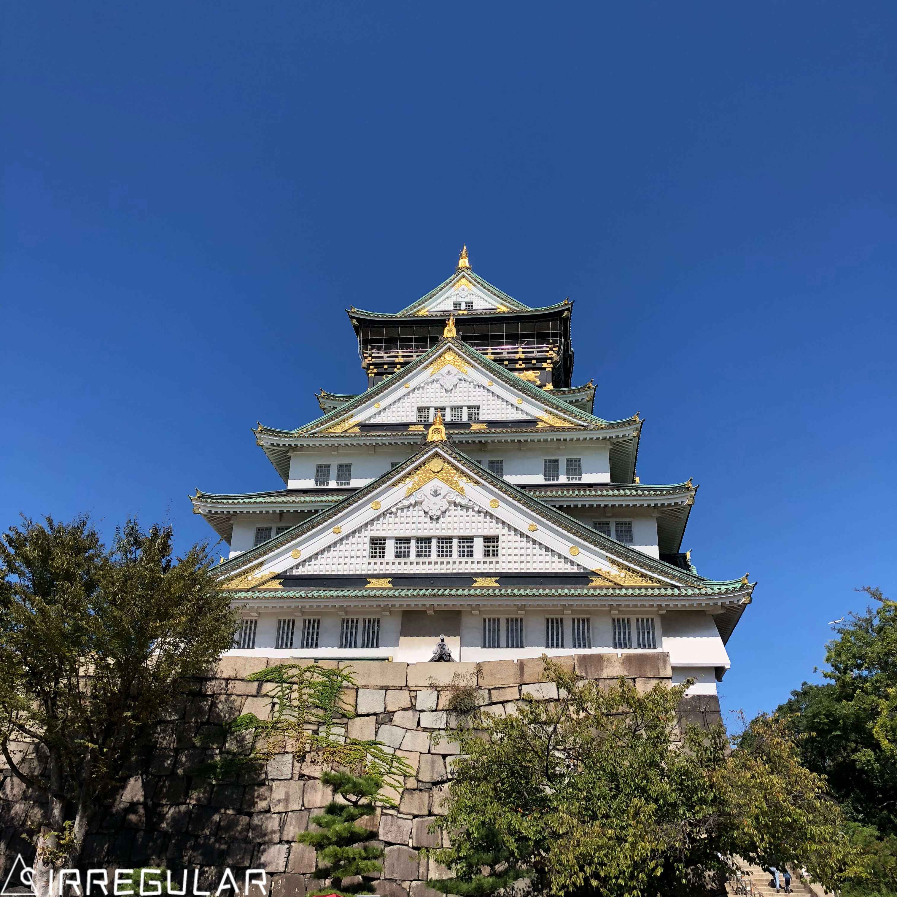 带你去看最真实的日本,带你去看看真实的日本