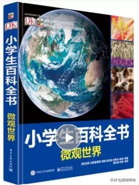 dk科普书怎么样,dk值得入手的书籍