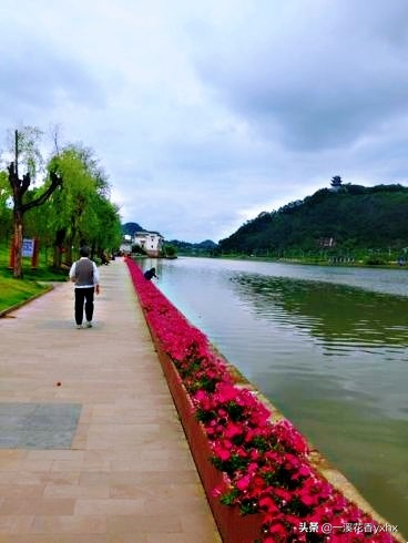 春风又绿江南岸风景,春风又绿江南岸风景图片