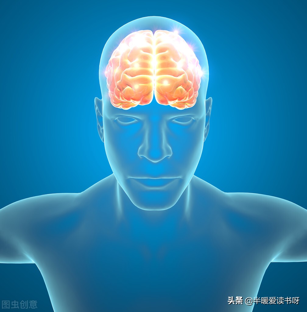 头脑简单四肢发达跟傻有什么区别,四肢越发达头脑越简单怎么回复