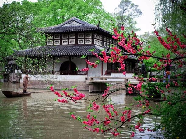 山花野鸟｜园林花语