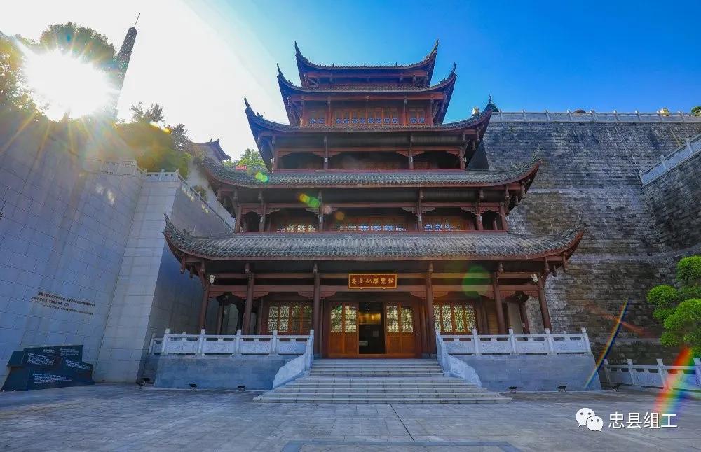 鍐呰挋鍙ゅ睍瑙堥妤硅仈,妤硅仈澶у寰侀泦