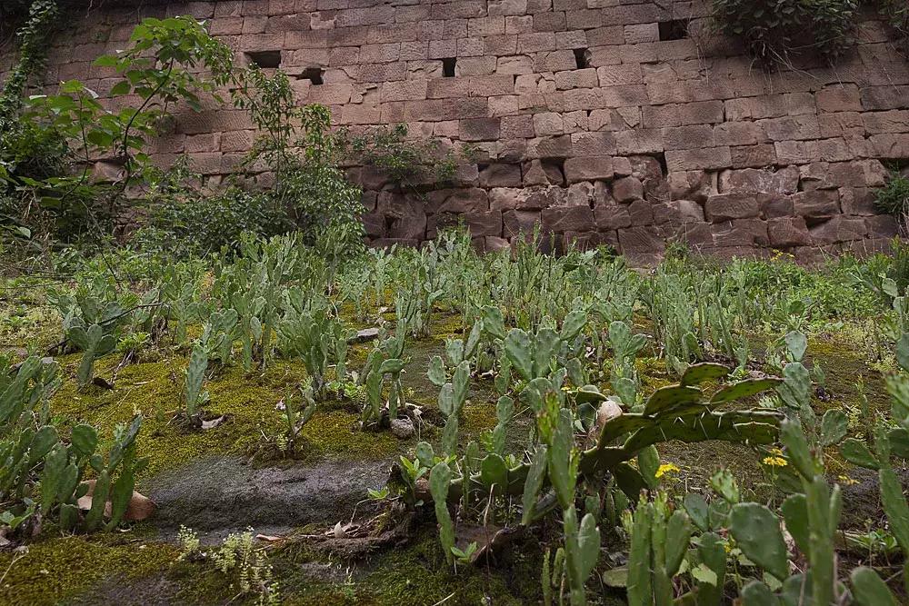 渝北枇杷正黄，冒冒失失穿越铁壁、胜保、斗碗三寨