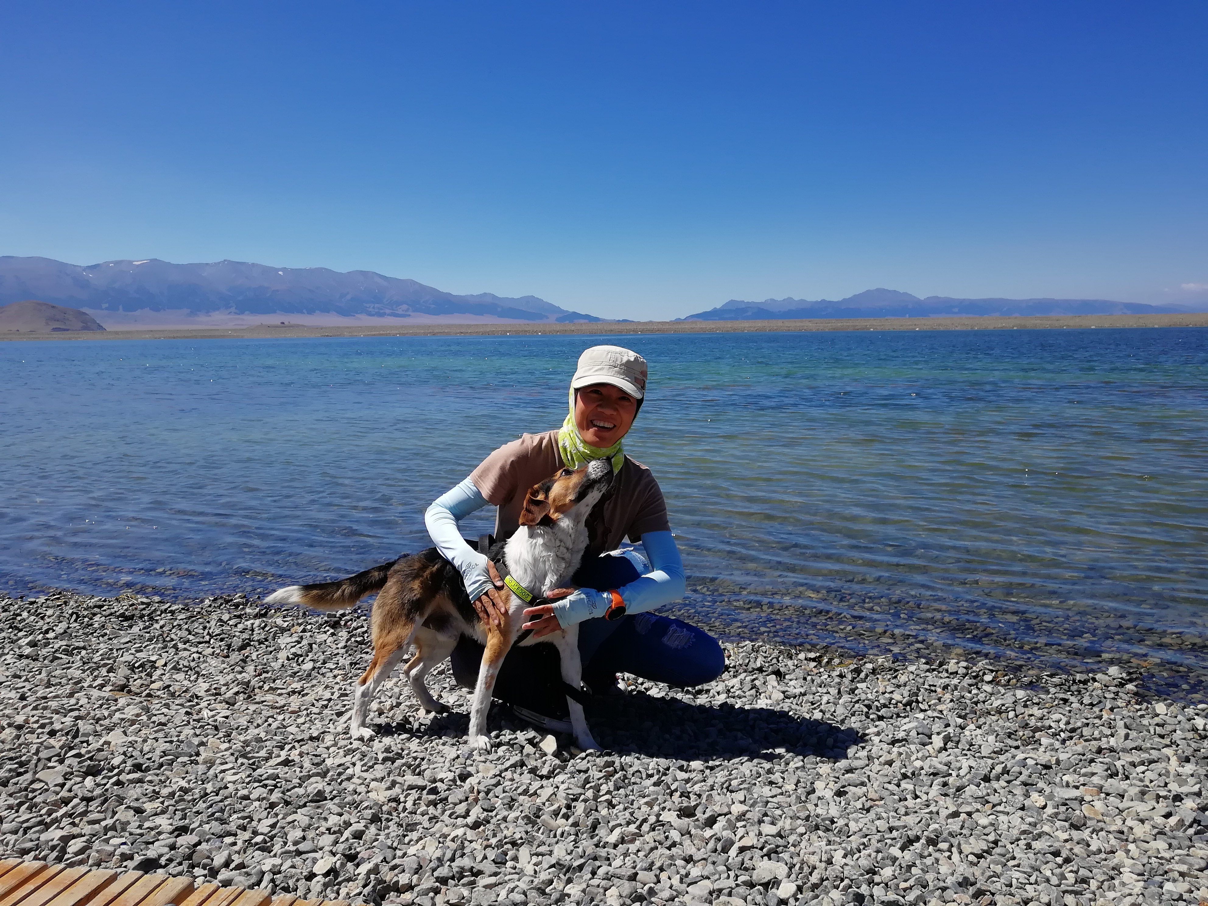 带狗爬山需要准备的装备大合集,准备带狗狗去旅行