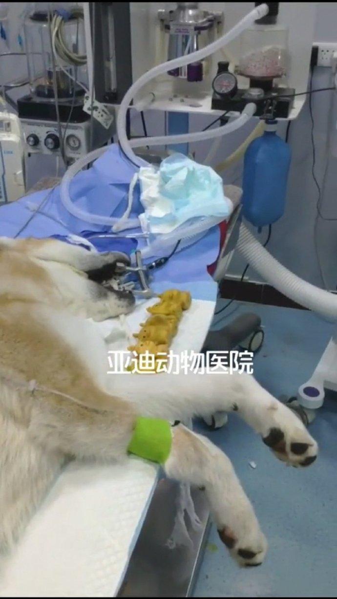 广东朋友发的，心酸中带着一丝好笑|冷段子1823