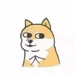 这部电影的卖点是2016年最污电影·····