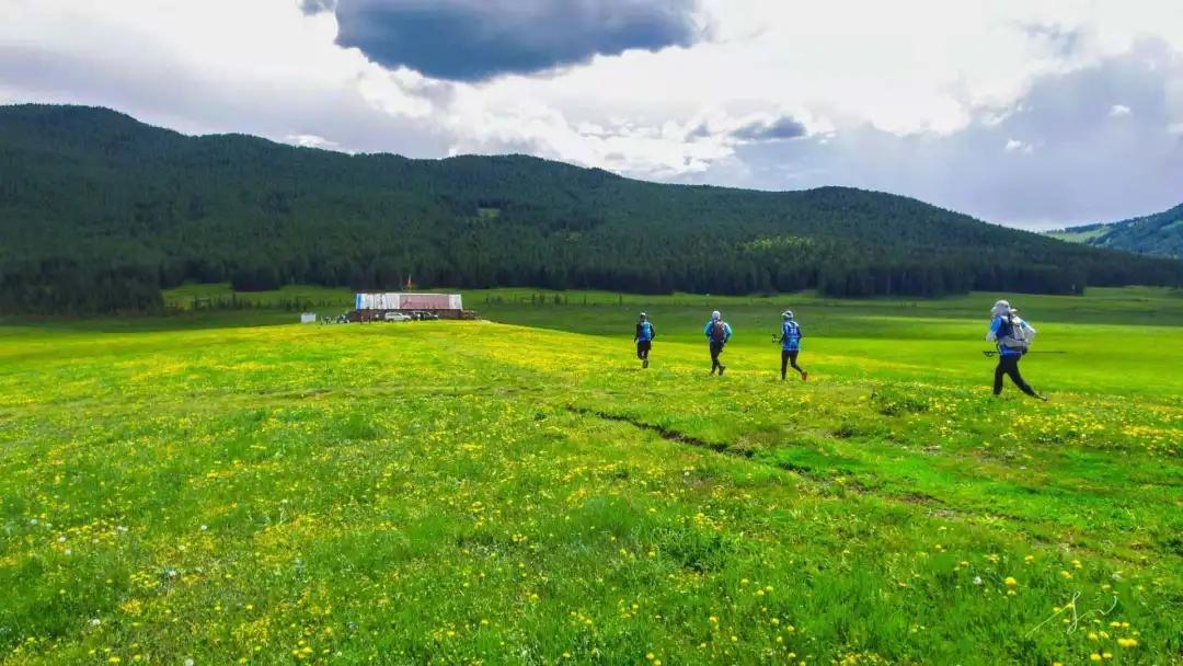 英诺天使基金王雪梅,英诺基金王雪梅