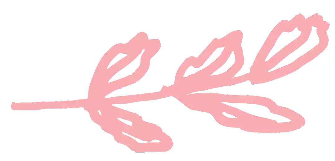 元宵花灯太美了,春季赏花郁金香太美了