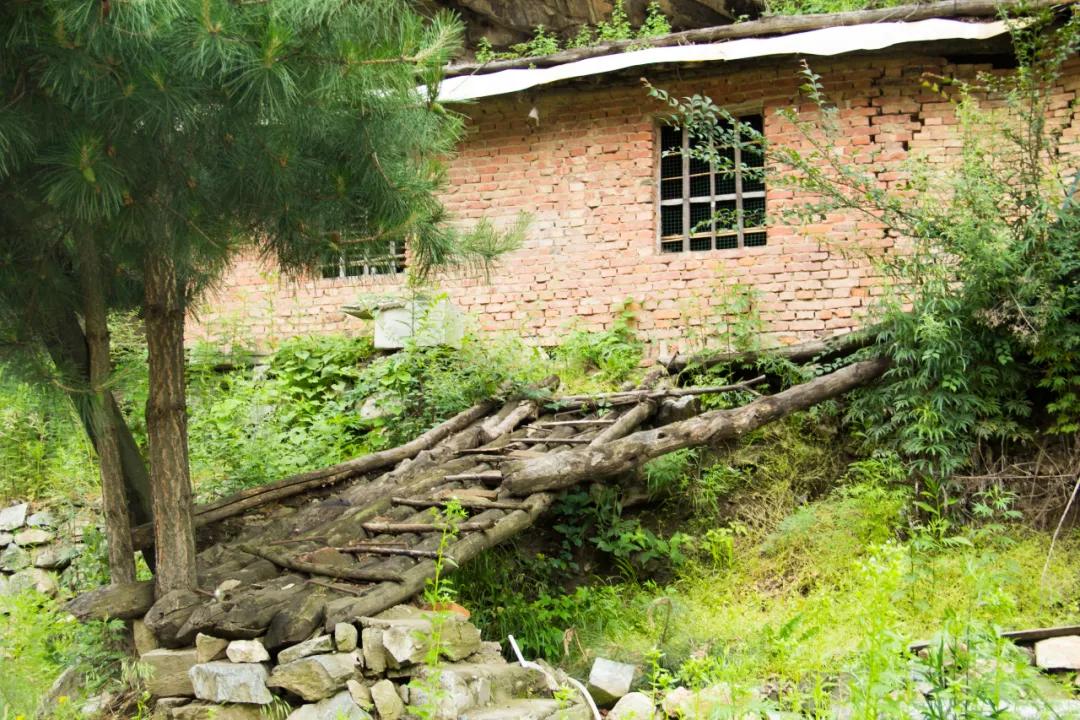 秦岭沣峪口上山有哪些景点,秦岭大坝沟瀑布