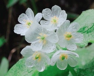 20岁才恍然大悟要自己爱自己,二十岁应该要学会爱自己