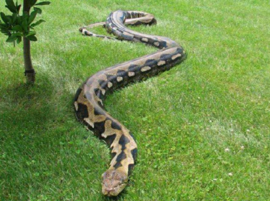 地球诞生时表面温度5000度,地球在10000亿年前发生了什么