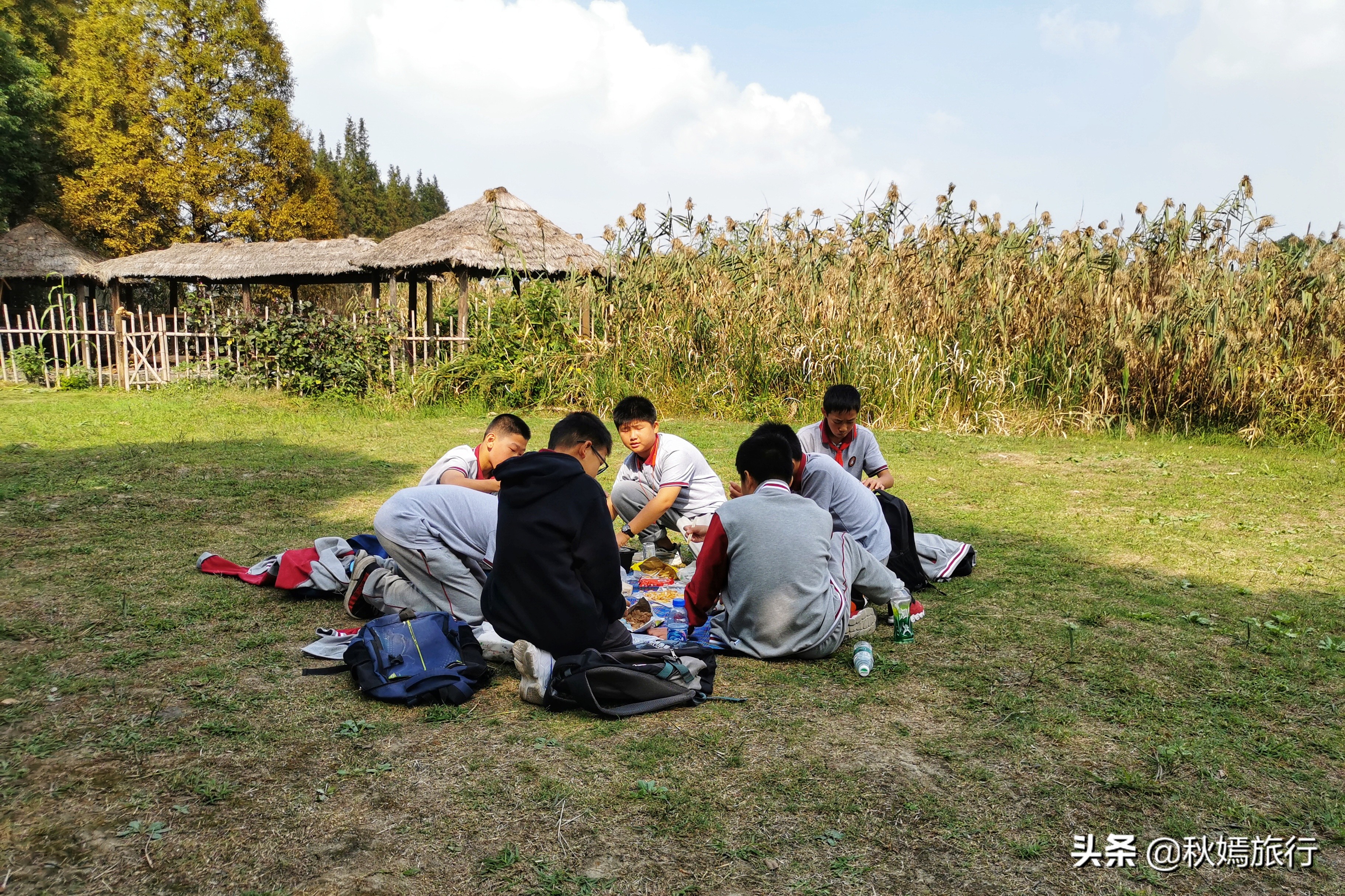 这座华东地区最大的湿地公园,拥有一千多亩芦苇荡,游客络绎不绝