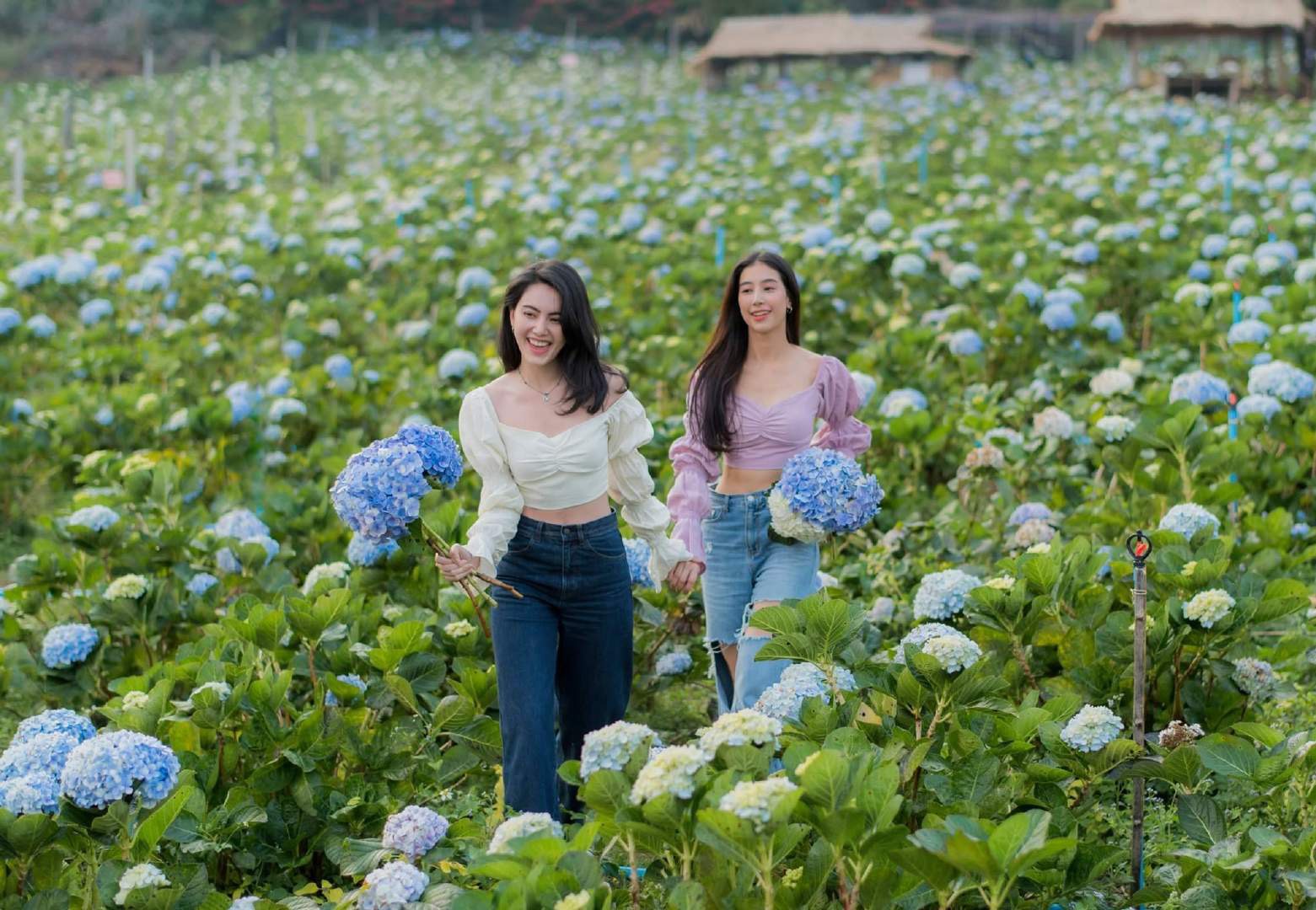 mai高颜值穿搭,mai穿搭