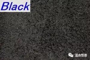 whitesboots工装靴,阿美咔叽低帮皮鞋