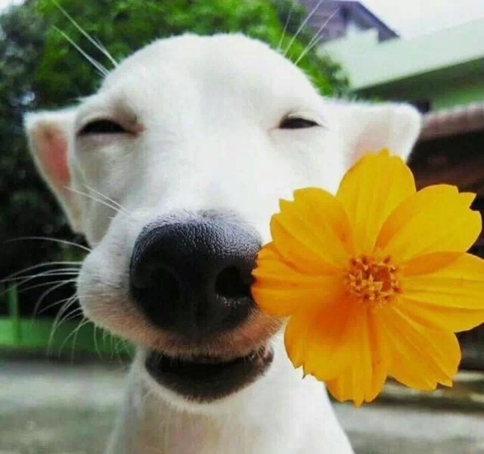 如果散光不影响视力需要矫正吗,眼睛散光会导致不聚焦吗