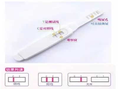 怀孕多久验孕棒能测出来一深一浅,怀孕几天能测出来验孕棒一深一浅