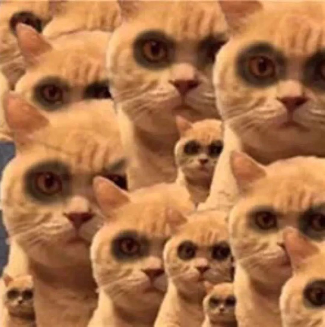 电音群,电音组合成员排行榜