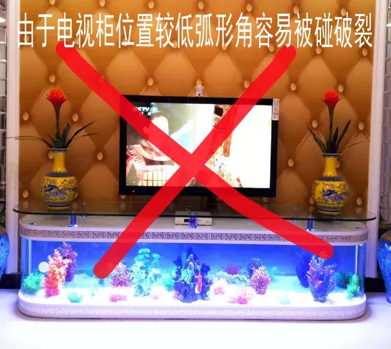 网购水族箱便宜吗,怎么买水族箱便宜