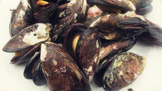 海岛两天一夜自驾游攻略,上海海边岛屿一日游枸杞岛