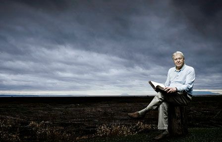 大卫爱登堡为地球发声的纪录片,大卫爱登堡纪录片七个星球