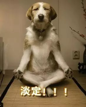 搞笑段子经典段子视频,费玉清最搞笑段子集合