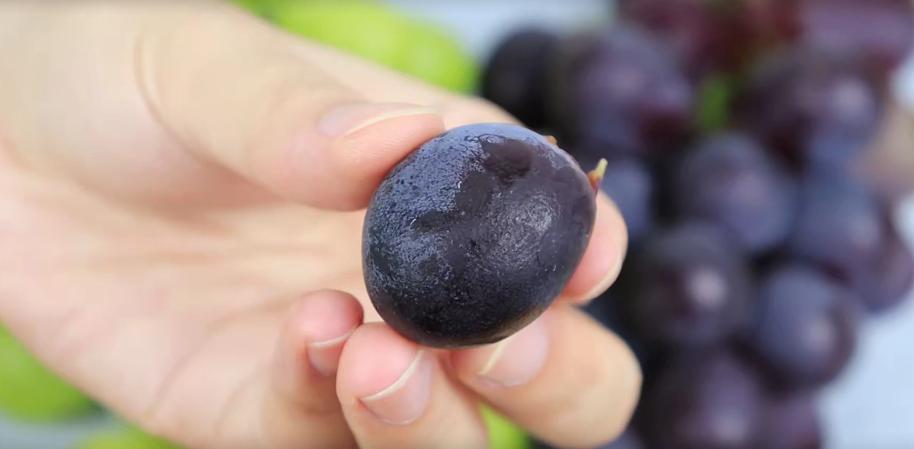 葡萄和提子到底有什么区别?大多数人都还不知道,今天算涨知识了