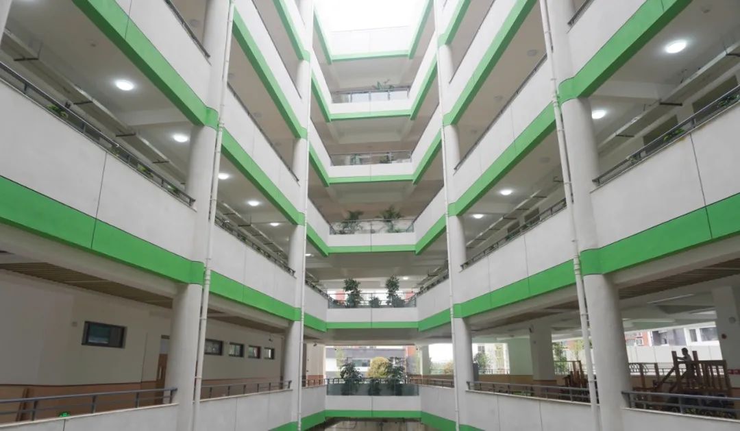 绵阳东辰聚星国际学校建设公告,冉冉升起的一颗新星完整视频