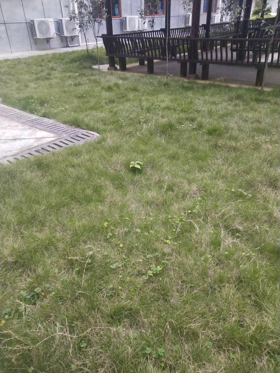 《原神》欢乐沙雕图第六期：当零氪玩家来到了土豪聊天群