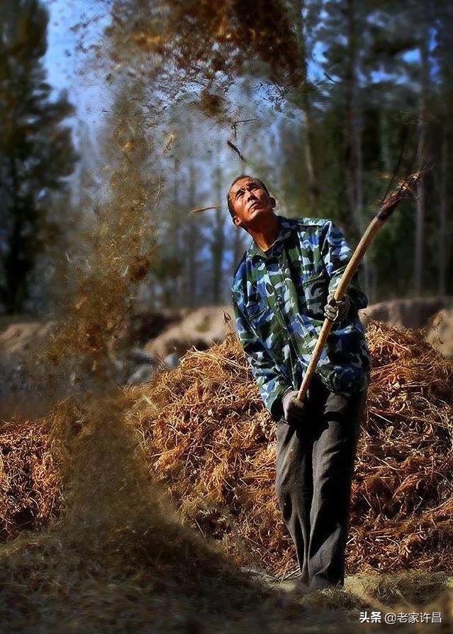 已失传的绝活有哪些,那些快要失传的非遗绝技
