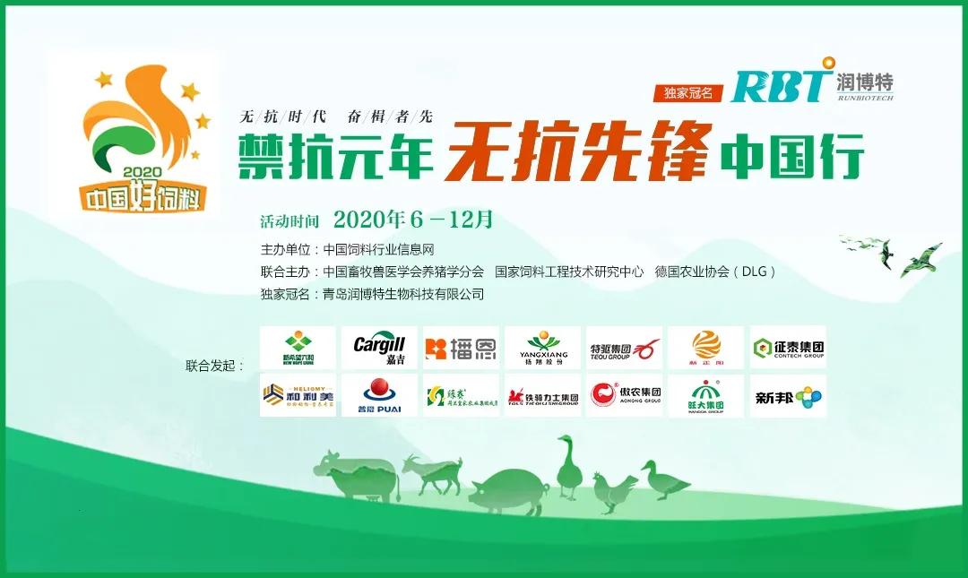 3个视频带你了解征泰集团如何践行营养免疫、健康养殖