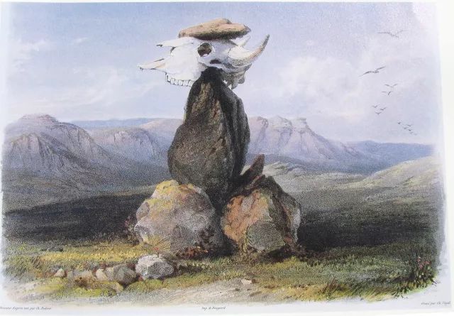 美国军官表示：尽可能*杀屠**野牛，多死一头野牛就能少一个印第安人