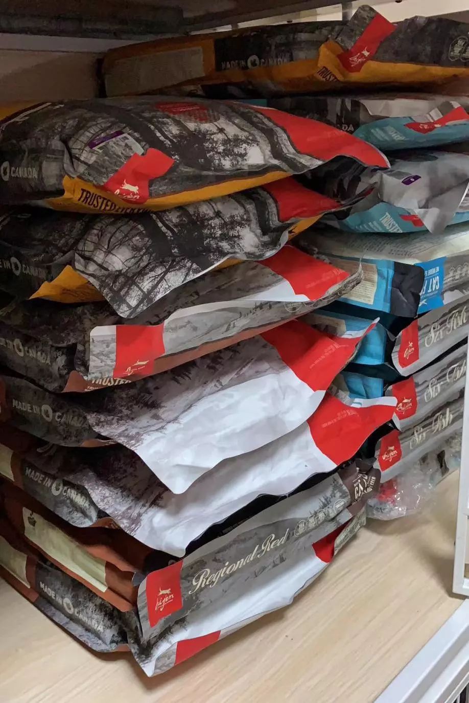 养猫花了1000万,两年时间养猫花了40万