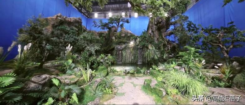 三生三世枕上书赚了多少钱,三生三世枕上书滚滚被赶出去