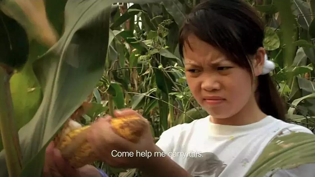 一家人如果都没了能相聚吗,春节的意义就是一家人团聚的时候