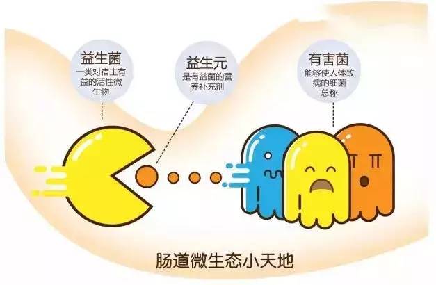 长期肠道失调排便困难会得什么病,肠道菌群失调便秘拉肚子就好了