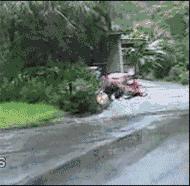 湾头大桥上的“速度与激情”，炸街、超速，处罚一个都跑不了！