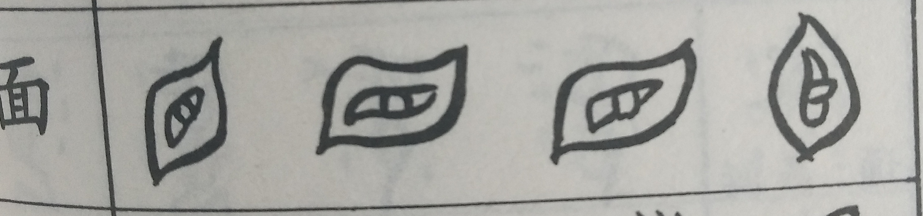 字源揭秘,字源解析