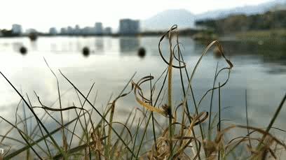 巧影制作运动轨迹视频,巧影大雁心形教程