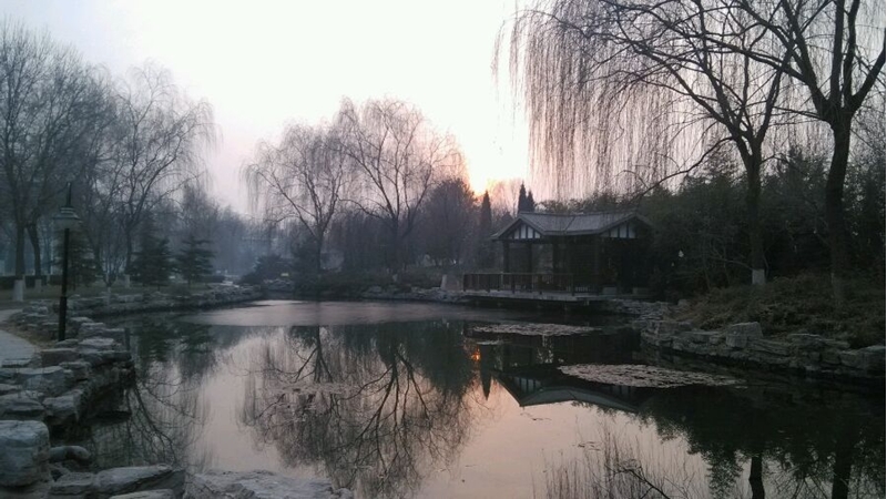 每日一校,每日一校简介