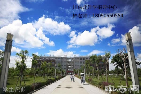 四川幼儿高等师范专科学校2020年,四川幼儿师范专科学校招生简章