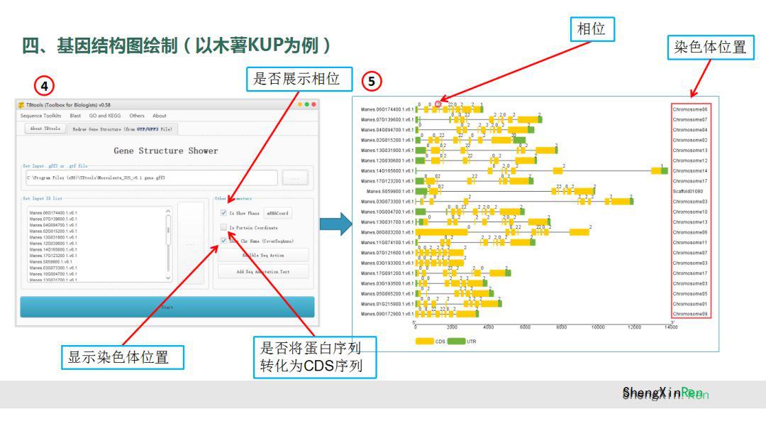 基因方面发10分sci什么水平,如何进行基因进化分析