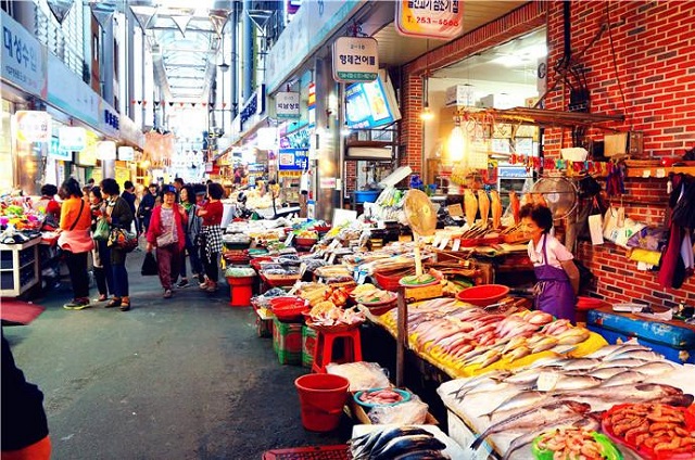 韩国的“钻石白菜价”令人望而却步，多重因素下的农业危机